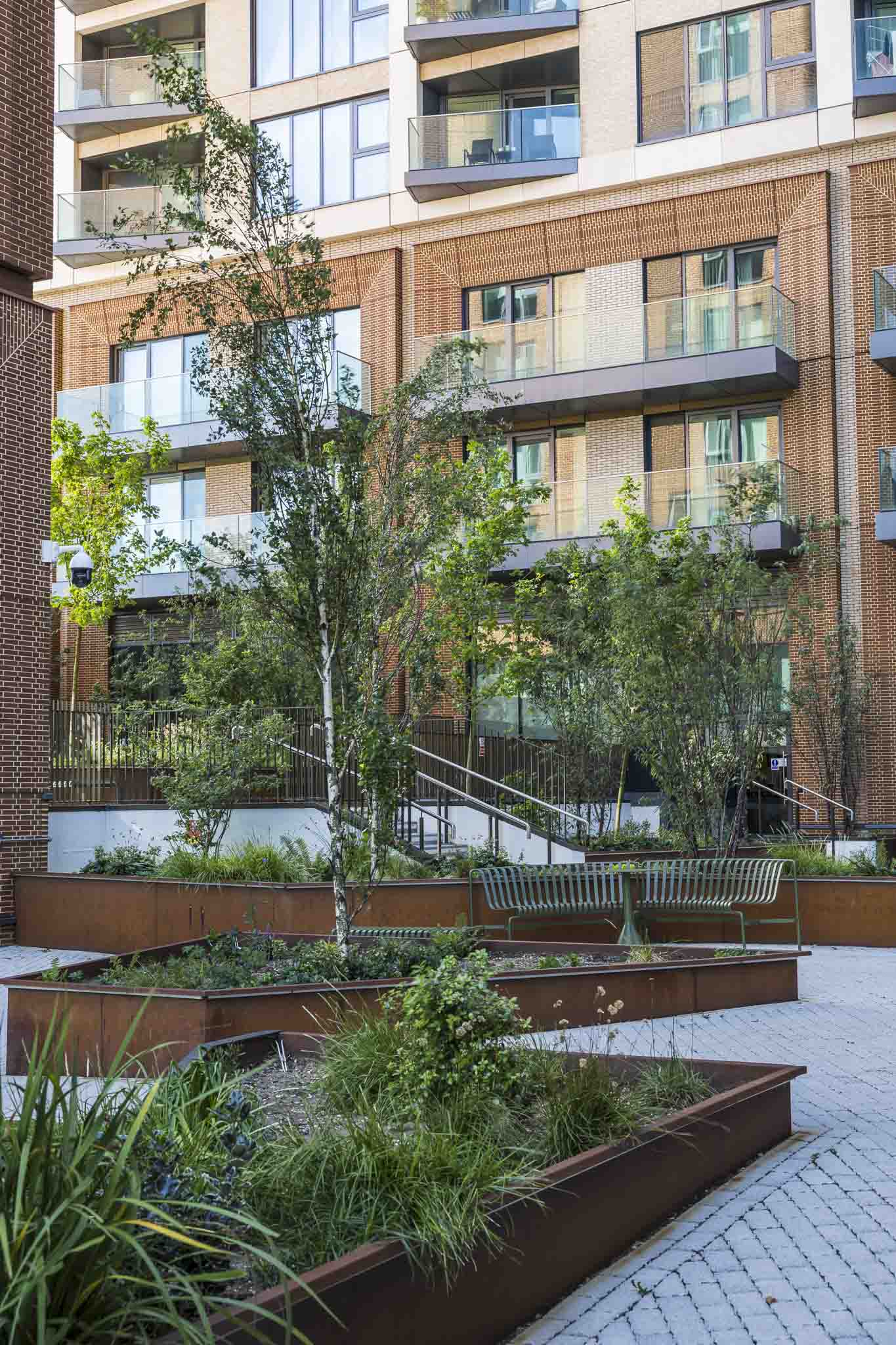Light Water Plants, Supply and Maintenance of Office Plants, London & the South