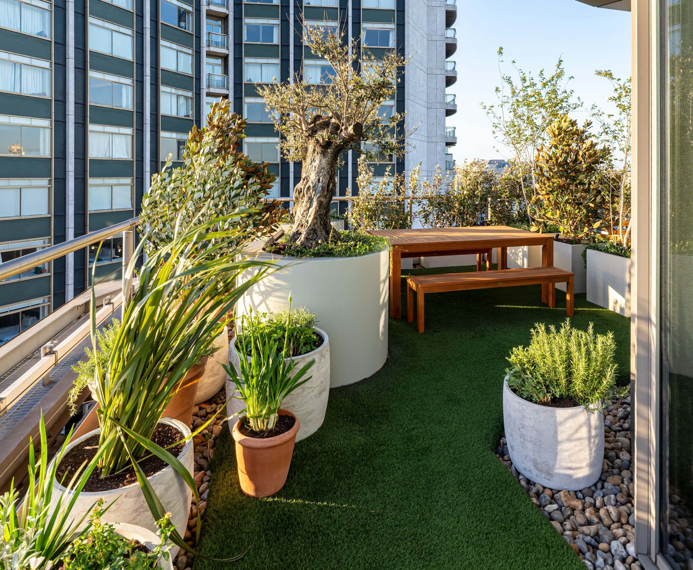 Light Water Plants, Supply and Maintenance of Office Plants, London & the South