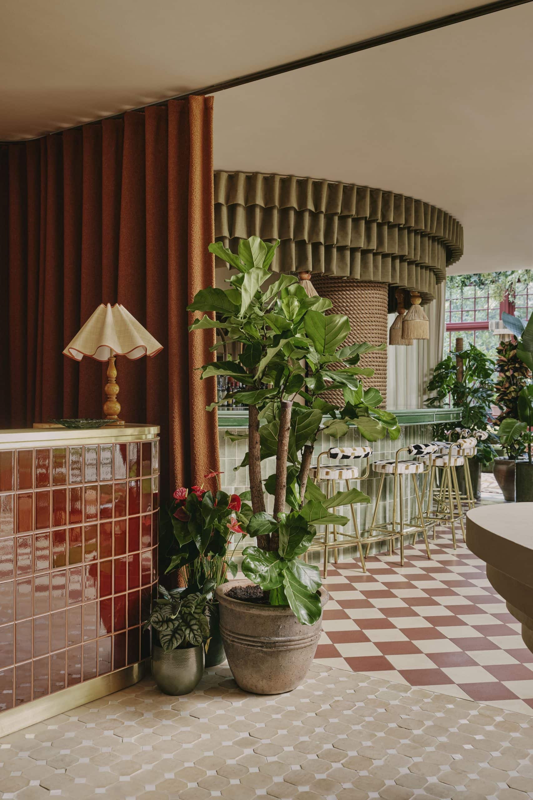 Light Water Plants, Supply and Maintenance of Office Plants, London & the South
