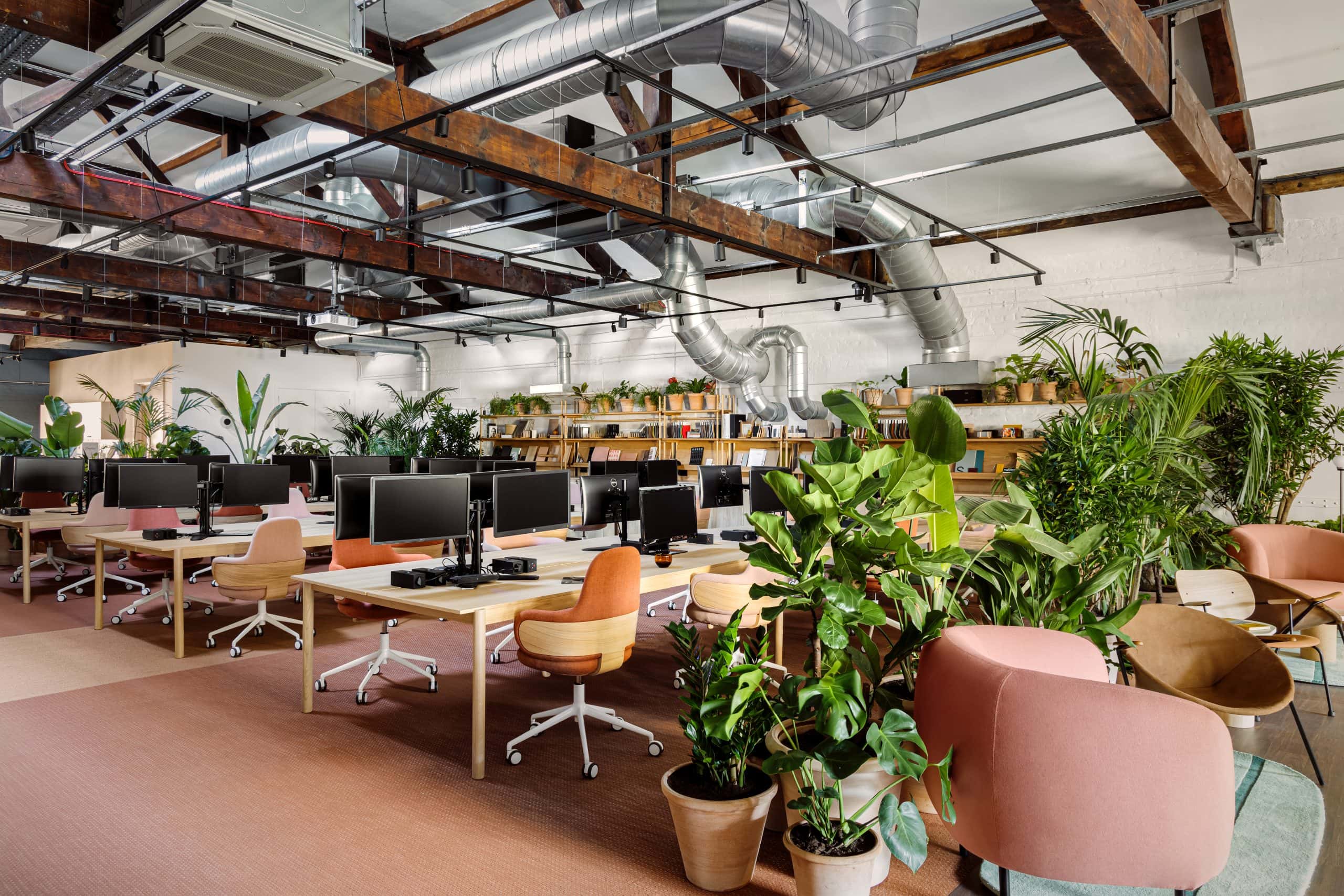 Light Water Plants Case Studies
